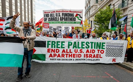 Трамп решил депортировать иностранных студентов, участвовавших в про-палестинских протестах