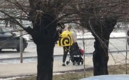 Баласын арбаға салып, тамақ жеткізетін ана жұрттың жүрегін елжіретті