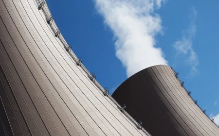 Выбор поставщиков для АЭС в Казахстане: какие компании в шорт-листе?