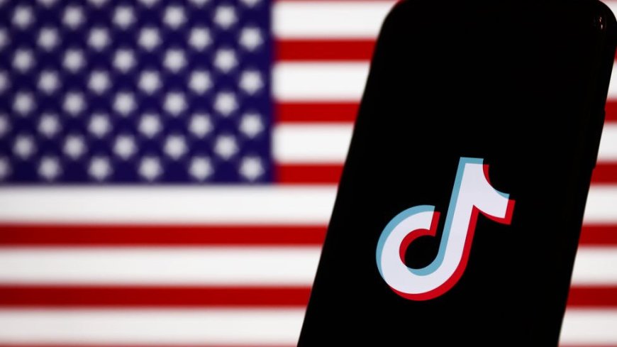 TikTok прекратил работу в США