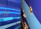 Предварительный отчёт о крушении самолёта AZAL опубликовало Минтранспорта РК