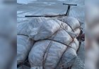 Более полутонны незаконно выловленной рыбы изъяли у браконьеров в Атырауской области