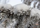 Снег, метель и усиление ветра ожидаются в Астане