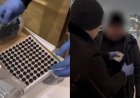 В Астане изъяли почти литр гашишного масла