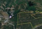 «Ауданы – 142,92 гектар»: Назарбаевтың Шамалғандағы мүлкі аукционға қойылды