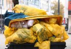 Өскеменде қоқыс контейнерінен нәрестенің мәйіті табылды