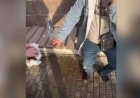 «Мені өлтірмеші»: Қарағандыда 53 жастағы такси жүргізушісін пышақтап кеткен (ВИДЕО)