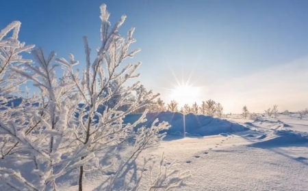Қатты аяз: Ақпан айында елімізде ауа райы қандай болады?