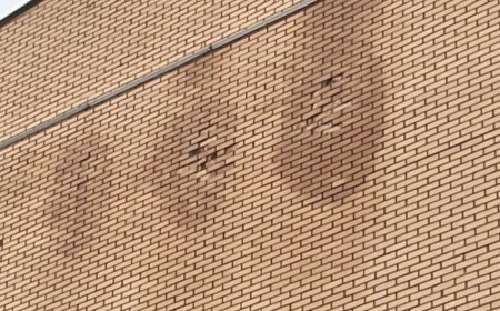 В Уральске со стены школы осыпаются кирпичи спустя семь лет после строительства