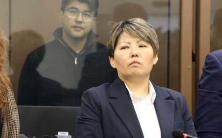 «12 жыл беруге болатын еді»: Бишімбаевтың адвокаты жазаның әділетсіз екенін айтты