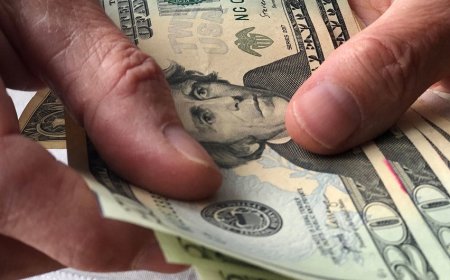 Депутат потребовал аудит иностранных грантов: куда идут деньги?