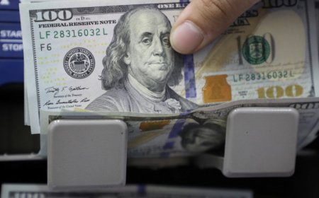 Курс вниз без тормозов: доллар продолжает дешеветь