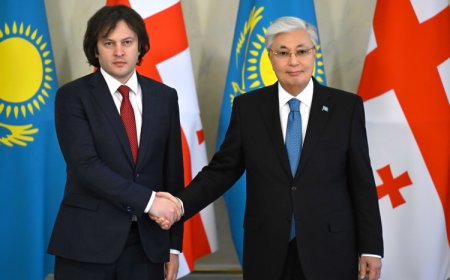 Глава государства провел переговоры с Премьер-министром Грузии