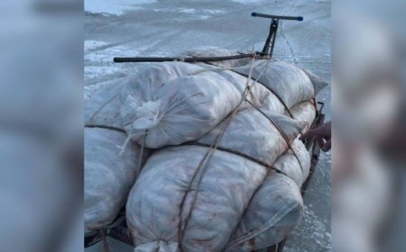 Более полутонны незаконно выловленной рыбы изъяли у браконьеров в Атырауской области