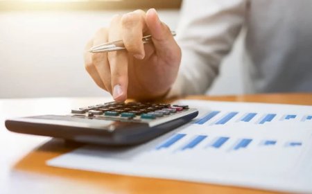 Правительство одобрило дифференцированные ставки НДС: что изменится?