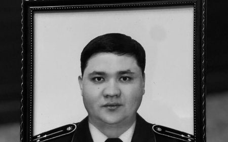 В ДТП погиб патрульный полицейский в Жамбылской области