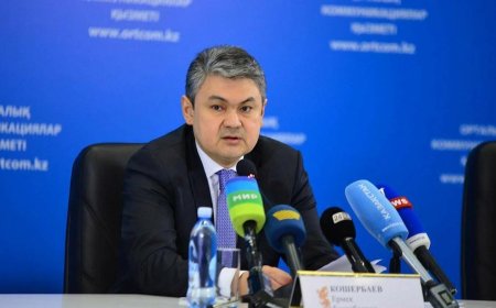 Ермек Кошербаев назначен заместителем Премьер-Министра Казахстана