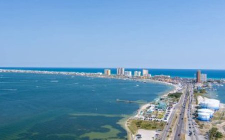 Журналистам Associated Press запретили посещать Овальный кабинет из-за спора о названии Мексиканского залива