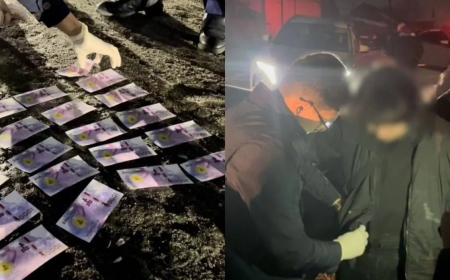 Тағы да Талғар: қылмыстық топ жасөспірімді ұрлап кетті