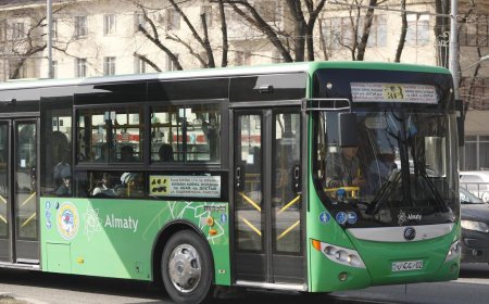 Алматыдағы автобус жүргізушілері екі айдан бері жалақы алмаған