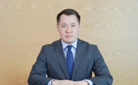 Фархат Сарсекеев назначен главой фонда «Даму»