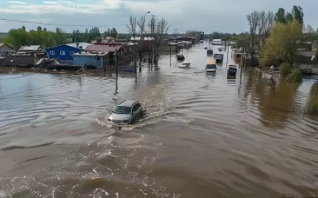Спустя год утверждены правила возмещения потерь аграрного сектора от паводков