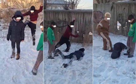 Уголовное дело возбуждено по факту жестокого группового избиения ребенка