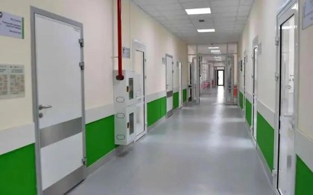 Новый роддом и несколько поликлиник на частные инвестиции построят в Астане