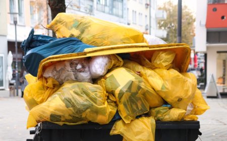 Өскеменде қоқыс контейнерінен нәрестенің мәйіті табылды