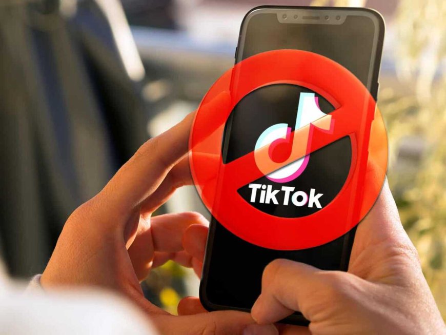 Депутаты снова предложили запретить TikTok в Казахстане