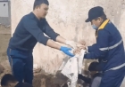 «Мұздап қалған»: Босанған әйелдің шақалағы абайсызда дәретханаға құлап кетті (ВИДЕО)