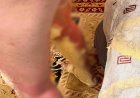 «Жансақтау бөлімінде жатыр»: Ақтауда бүлдіршін жылу құбырынан атқылаған ыстық суға күйіп қалды