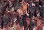 Астанада өлген малдың етін сатып келген саудагер ұсталды