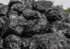 "Самрук-Казына" планирует строить новые угольные станции и одновременно снижать выбросы