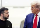Трамп и Зеленский провели телефонный разговор