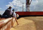 Россия назвала условия для перемирия в Чёрном море