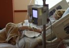 Қан құсып, қызу көтеріледі: Ресейде белгісіз вирус тарап жатыр