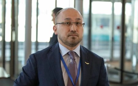 Более 30 казахстанцев остаются в группировках в Сирии – Абаев