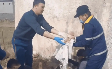 «Мұздап қалған»: Босанған әйелдің шақалағы абайсызда дәретханаға құлап кетті (ВИДЕО)