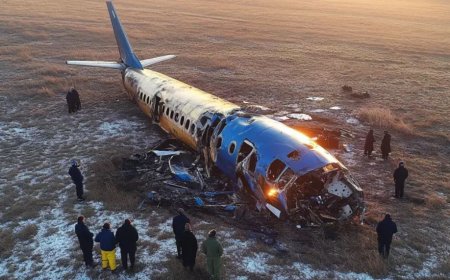 Ақтаудағы ұшақ апаты: Бозымбаев Николя Ралломен кездесті