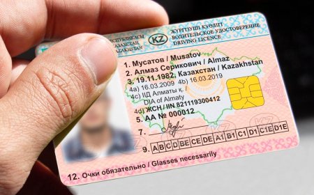 Ввести испытательный срок для новых водителей предложил сенатор