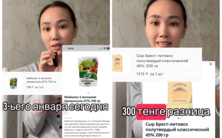 «Дәретханаға барудың өзі қымбат»: Екі ай ішінде өскен азық-түлік бағасы елді шошытты