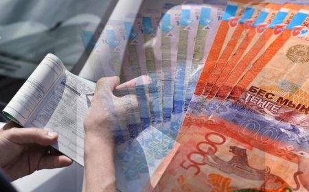 Елімізде жаңа айыппұл пайда болды