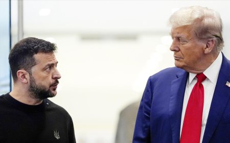 Трамп и Зеленский провели телефонный разговор