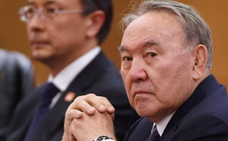 Назарбаевқа қатысты офшор Алматы маңында заңсыз жер иеленген