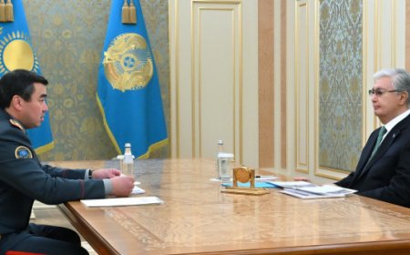 Глава государства принял министра по чрезвычайным ситуациям Чингиса Аринова