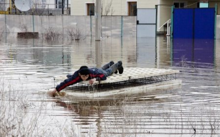 Государство не планирует выплату компенсаций за затопление дачных участков