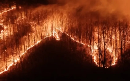 Оңтүстік Кореядағы алапат өрттен 20-дан астам қаза тапты