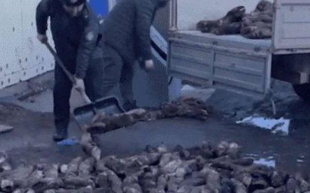 Астаналық кәсіпкер заңсыз цех ашып, тартылған етке тұяқ қосқан