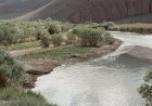 Жамбыл облысында қалталы кәсіпкер Шу өзенін бұрып алған